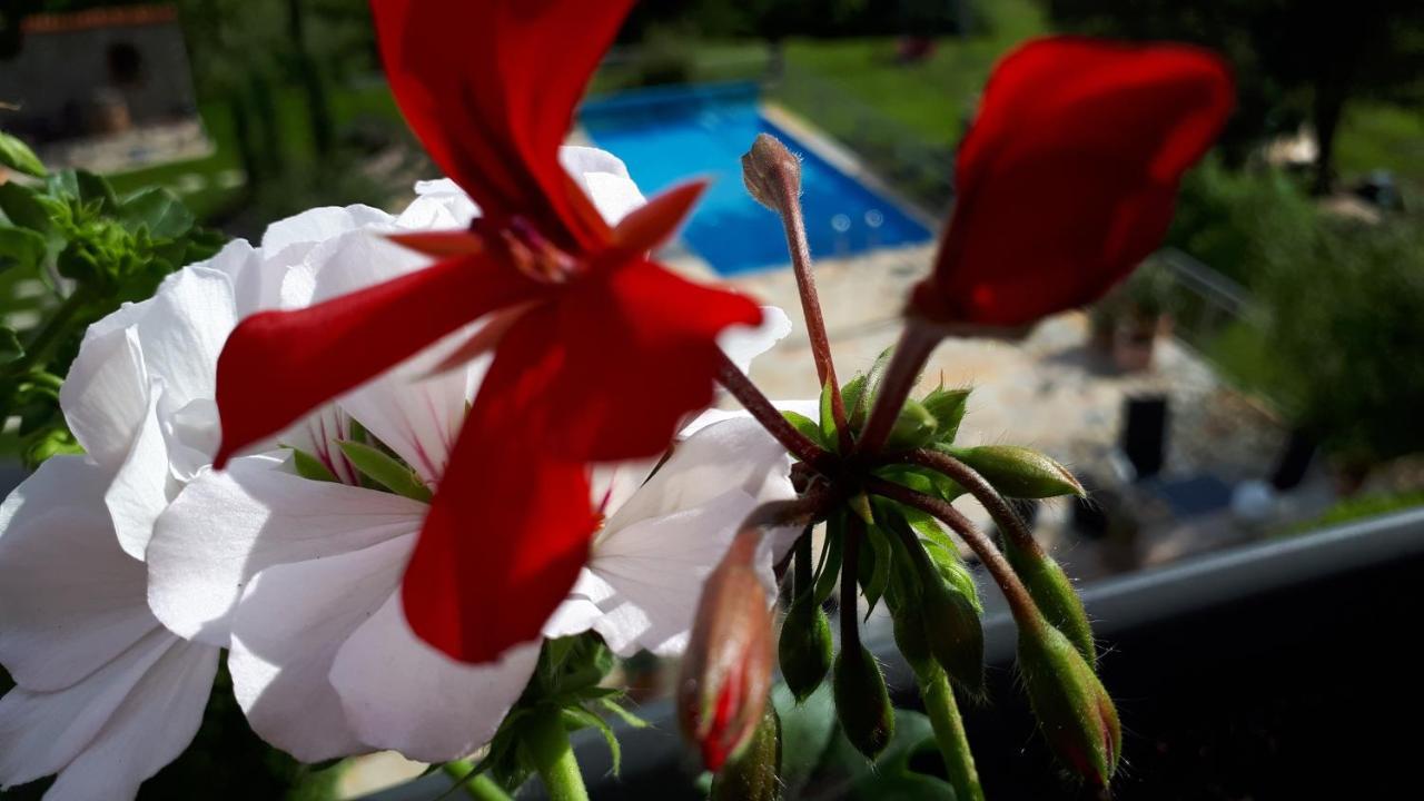 Pension Am Weinberg Bed & Breakfast Mainstockheim Bagian luar foto