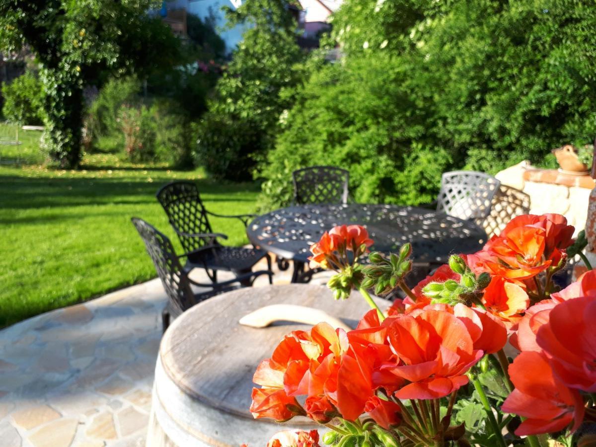 Pension Am Weinberg Bed & Breakfast Mainstockheim Bagian luar foto