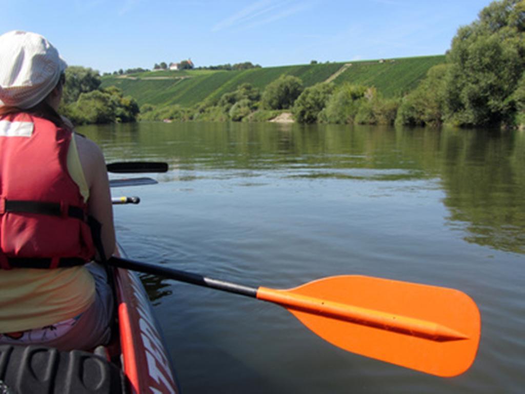 Pension Am Weinberg Bed & Breakfast Mainstockheim Bagian luar foto