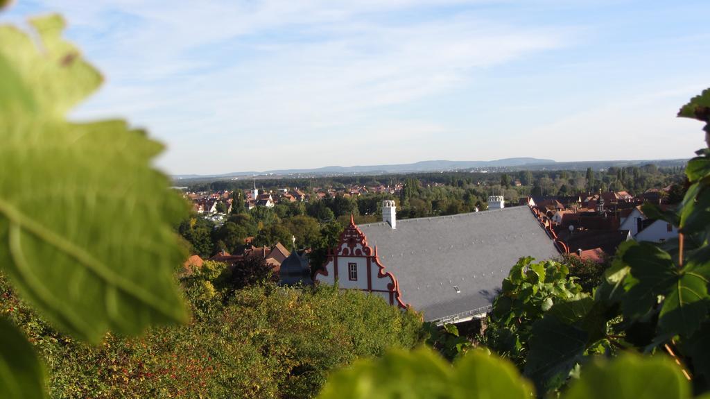 Pension Am Weinberg Bed & Breakfast Mainstockheim Bagian luar foto