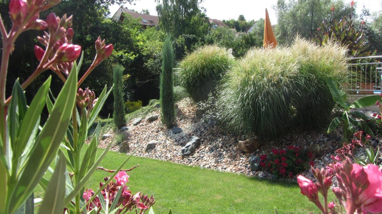Pension Am Weinberg Bed & Breakfast Mainstockheim Bagian luar foto